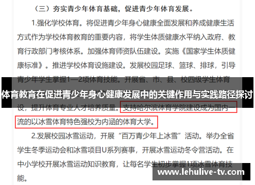 体育教育在促进青少年身心健康发展中的关键作用与实践路径探讨