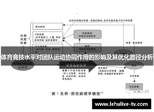 体育竞技水平对团队运动协同作用的影响及其优化路径分析